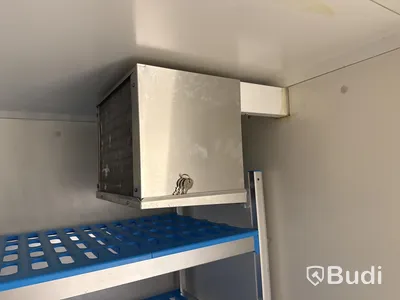 Kylrum Diamond Minicold Plus -2022