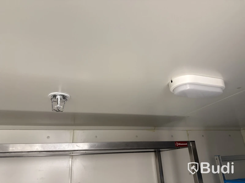 Kylrum Diamond Minicold Plus -2022