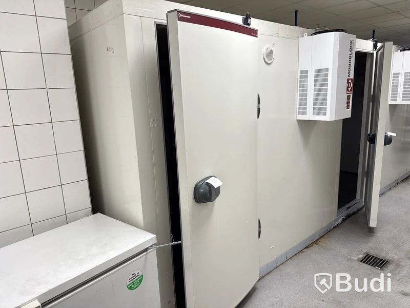 Kylrum Diamond Minicold Plus -2022