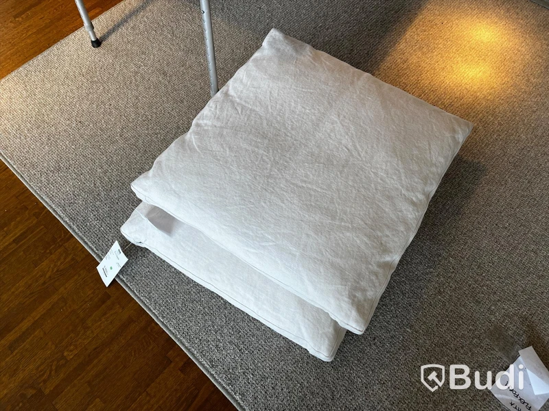 2 st Kuddar - B&B Italia Ordpris: 5.550 kr/st