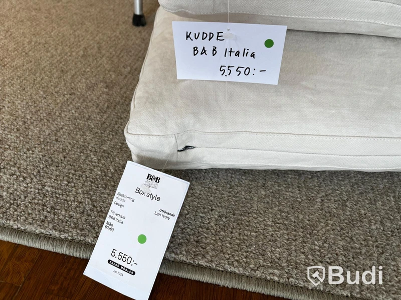 2 st Kuddar - B&B Italia Ordpris: 5.550 kr/st