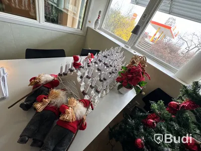 Julsaker