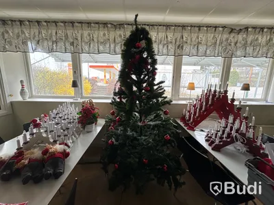 Julsaker