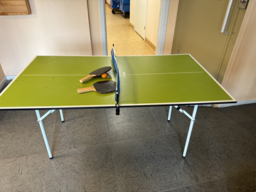 Minipingisbord 