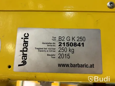 Pelarsvängkran Lyftman med glaslyft Barbaric 250 kg