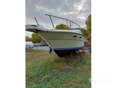 SeeRay Motorbåt
