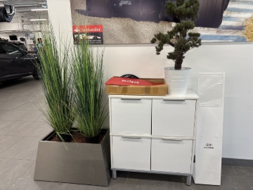 Skåp, växter och kruka
