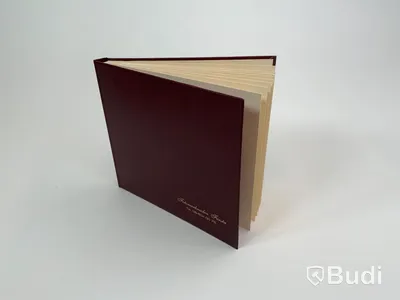 Scrap book premium