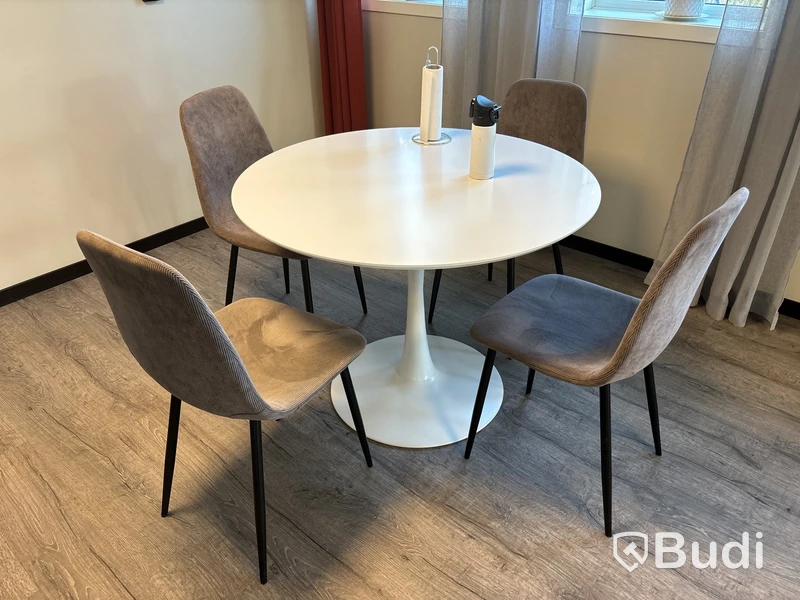 Lunchmöblemang - 4 bord & 20 stolar