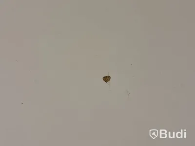 Kontorsarbetsplats med dubbla skärmar