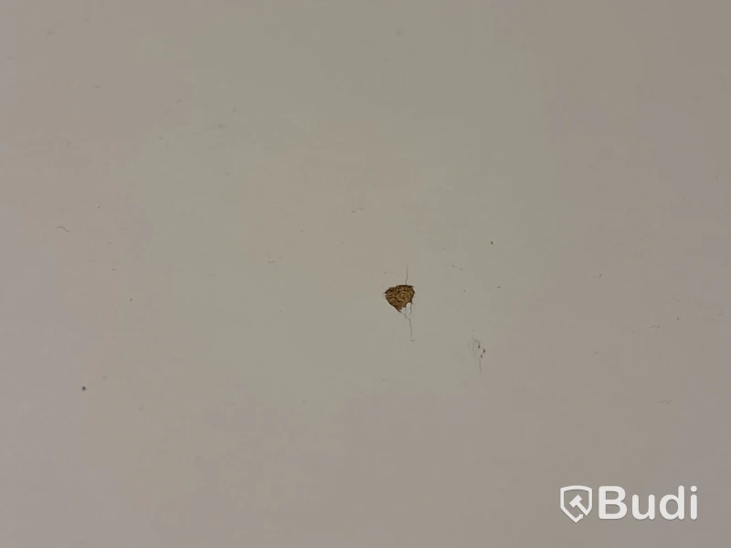 Kontorsarbetsplats med dubbla skärmar