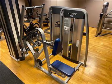 Hög rodd Cybex Incline Pull 11020-90