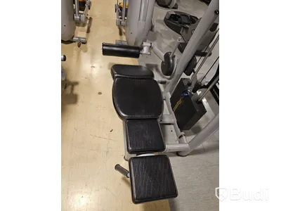 Baksida lår