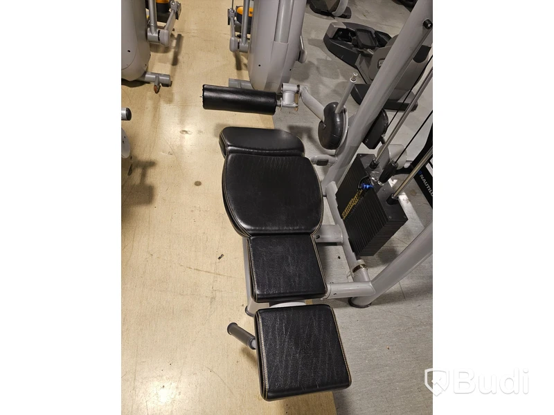 Baksida lår
