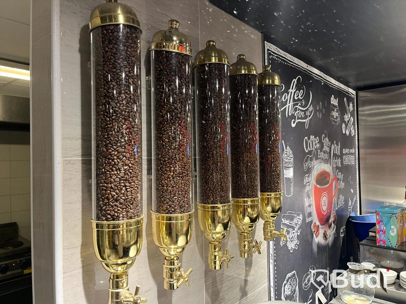 5st väggmonterade kaffebehållare i glas med guldkrom