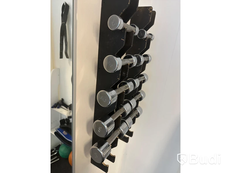 Set med 10 st. Hantlar 1, 2, 3, 4 och 5 kg