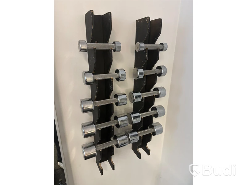 Set med 10 st. Hantlar 1, 2, 3, 4 och 5 kg