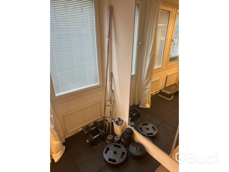 Parti med hantlar, skivstång och vikter.