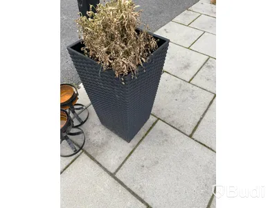 Uteplats: 16st bord, 24 stolar, avspärrning, 8st blomkrukor, parasollfot