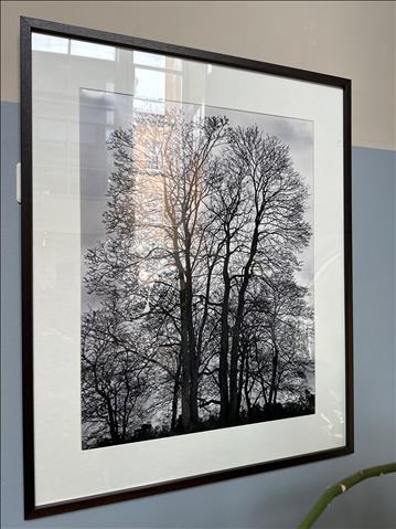 Inramad bild, Trädmotiv, 103x83 cm 