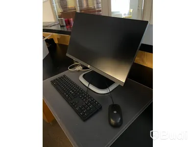 Datorskärm HP