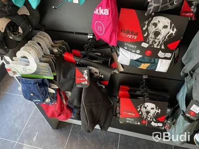 Parti med hundkläder