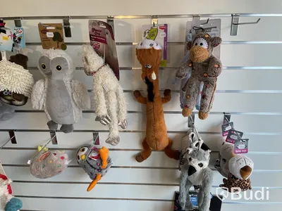 Diverse hundleksaker och matskålar