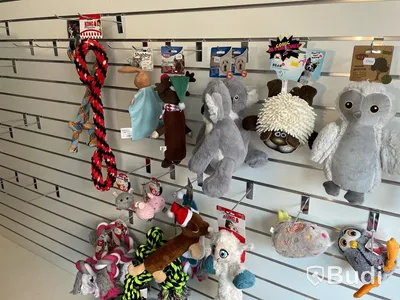 Diverse hundleksaker och matskålar