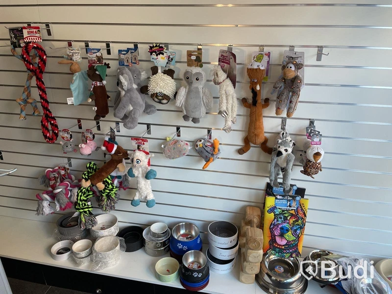 Diverse hundleksaker och matskålar