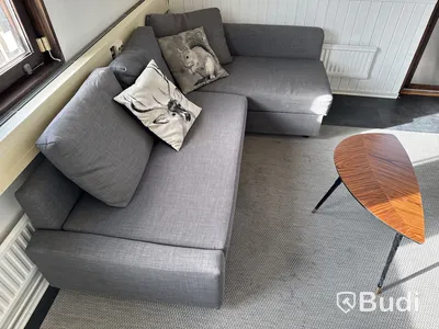 Bäddsoffa, bord samt matta