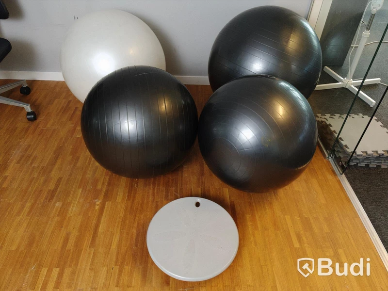 4 st träningsbollar Casall samt 1 st Rehband balansbräda