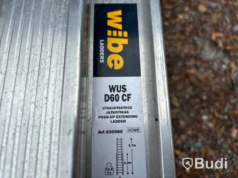 Stege Wibe