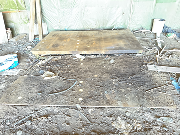 Digital våg Vetek 6-ton, digital