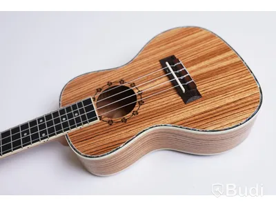 Ukulele - Koki'o, Zebrawood inkl. soft case, RISA Musical Instruments. Ny, Obruten förpackning.