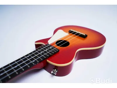 Ukulele halvakustisk - Les Paul Ac/Rl Ukulele Outfit, Epiphone. Ny, Obruten förpackning.