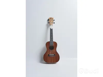 Kokio ukulele med case, mahogany