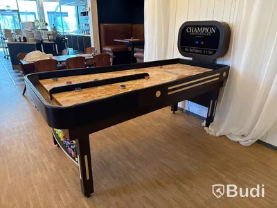 Shuffleboard Champion