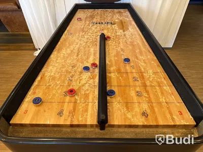 Shuffleboard Champion