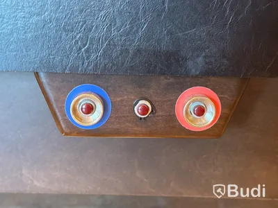 Shuffleboard Champion