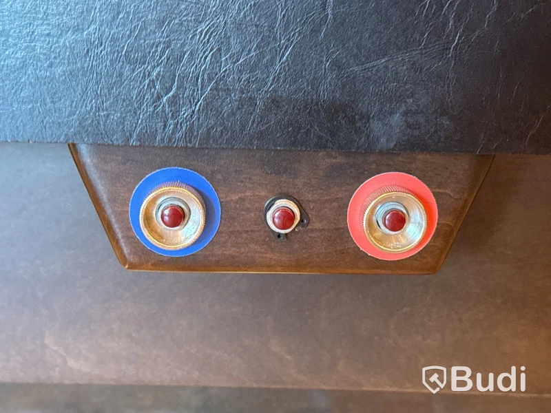 Shuffleboard Champion