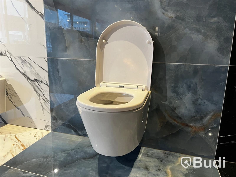 Vägghängd WC Alterna opus mini Nypris ca 3000 kr
