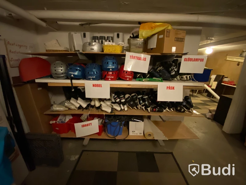 Parti med skridskor och skridskohjälmar