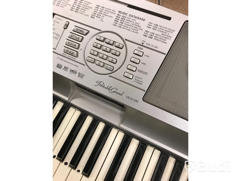 Keyboard DGX-300