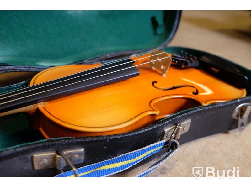 1/2 Fiol (P)