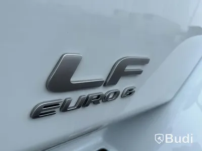 Lastbil DAF LF 290 Euro6 | 2017 | 18P Skåp med öppningsbarsida och baklyft 2T