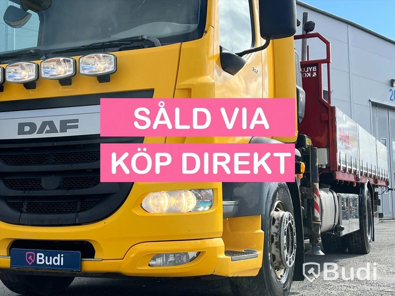 Lastbil DAF FA LF 310I | FASSI Kran/Flak | 2016