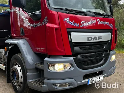 Kranbil DAF LF 290 FA | 2016 | Brädgårdsbil | Kranflak med vikbar baklyft