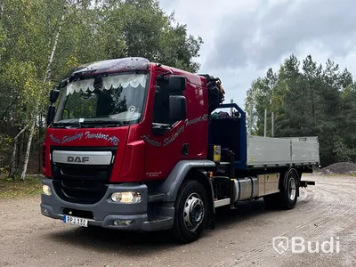Kranbil DAF LF 290 FA | 2016 | Brädgårdsbil | Kranflak med vikbar baklyft