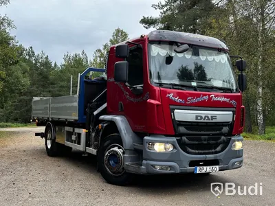 Kranbil DAF LF 290 FA | 2016 | Brädgårdsbil | Kranflak med vikbar baklyft