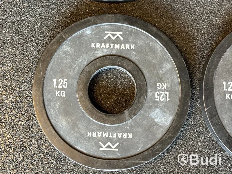 4 st viktskivor - 1,25 kg